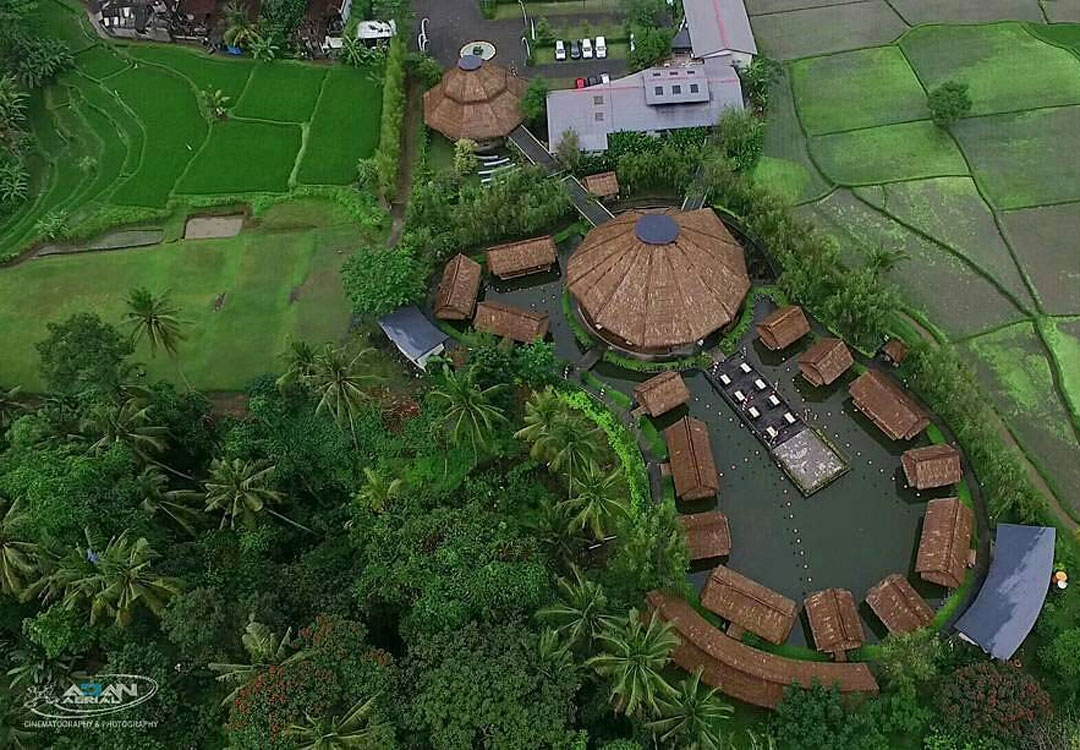 Restaurant in Bali with Paddy Fields – Berry Amour Villas