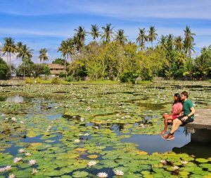 things to do in bali