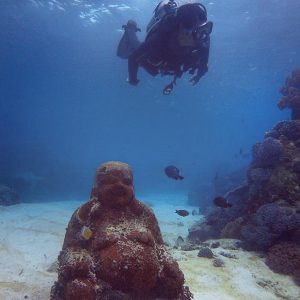 bali diving